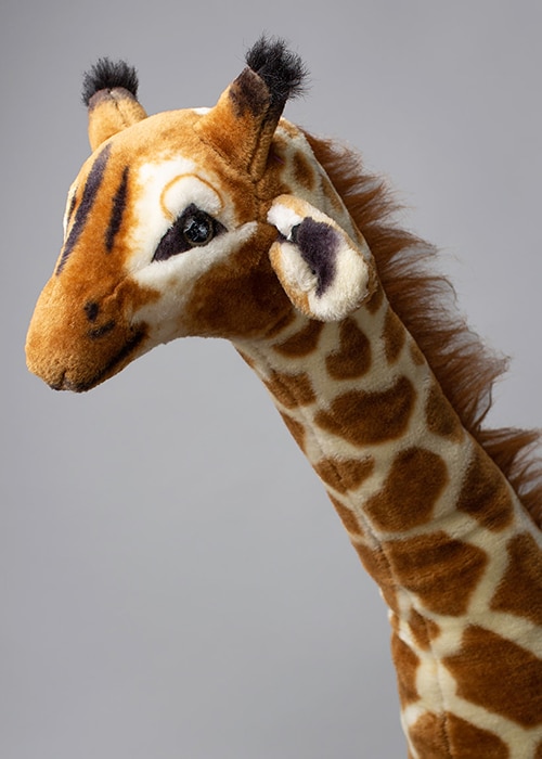 Giselle Giraffe's Profile Image